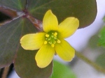 szk080721 001.01.jpg