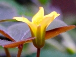 szk080721 002.01.jpg