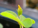 szk080723 001.01.jpg