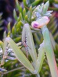 szk080725 009.01.jpg