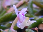 szk080725 020.01.jpg
