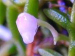szk080725 022.01.jpg