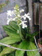 szk080811 006.01.jpg