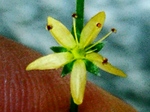 szk080818 005.01.jpg