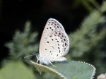 szk080818 007.01.jpg