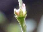szk080818 011.01.jpg