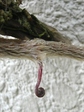 szk080819 004.01.jpg