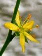 szk080819 015.01.jpg