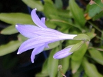szk080825 010.01.jpg