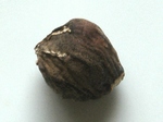 szk080830 010.02.jpg