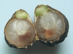 szk080830 012.01.jpg