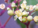 szk080904 005.01.jpg