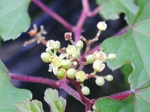 szk080904 007.01.jpg