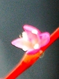 szk080915 003.01.jpg