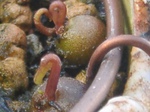 szk080920 012.01.jpg