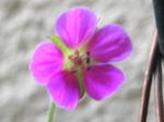 szk080923 009.01.jpg