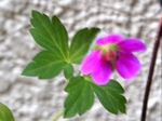 szk080923 013.01.jpg