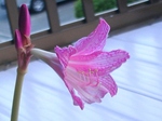szk080923 015.01.jpg