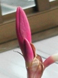 szk080923 017.01.jpg