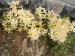 szk080928 001.01.jpg