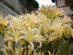 szk080928 002.01.jpg