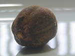 szk081013 002.01.jpg