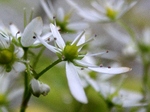 szk081016 015.01.jpg