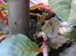 szk081016 018.01.jpg