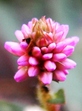 szk081016 020.01.jpg