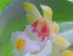 szk081016 027.01.jpg