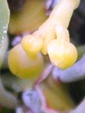 szk081016 028.01.jpg