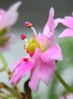 szk081025 004.01.jpg