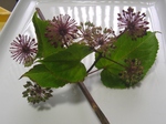 szk081026 007.02.jpg