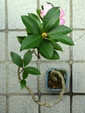 szk081028 006.01.jpg