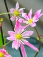 szk081028 008.01.jpg
