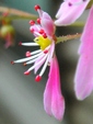szk081028 011.01.jpg