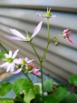 szk081028 022.01.jpg