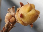szk081029 016.01.jpg