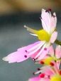 szk081029 030.01.jpg