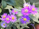 szk081029 032.01.jpg