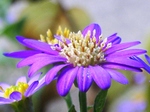szk081029 034.01.jpg