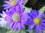 szk081029 035.01.jpg