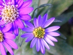 szk081029 036.01.jpg