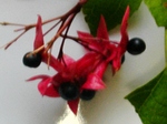 szk081029 043.01.jpg