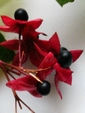 szk081029 046.01.jpg