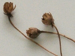 szk081029 048.01.jpg