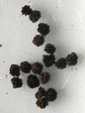szk081029 050.01.jpg