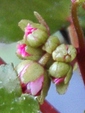 szk081101 021.01.jpg