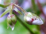 szk081101 033.01.jpg