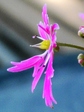 szk081101 040.01.jpg